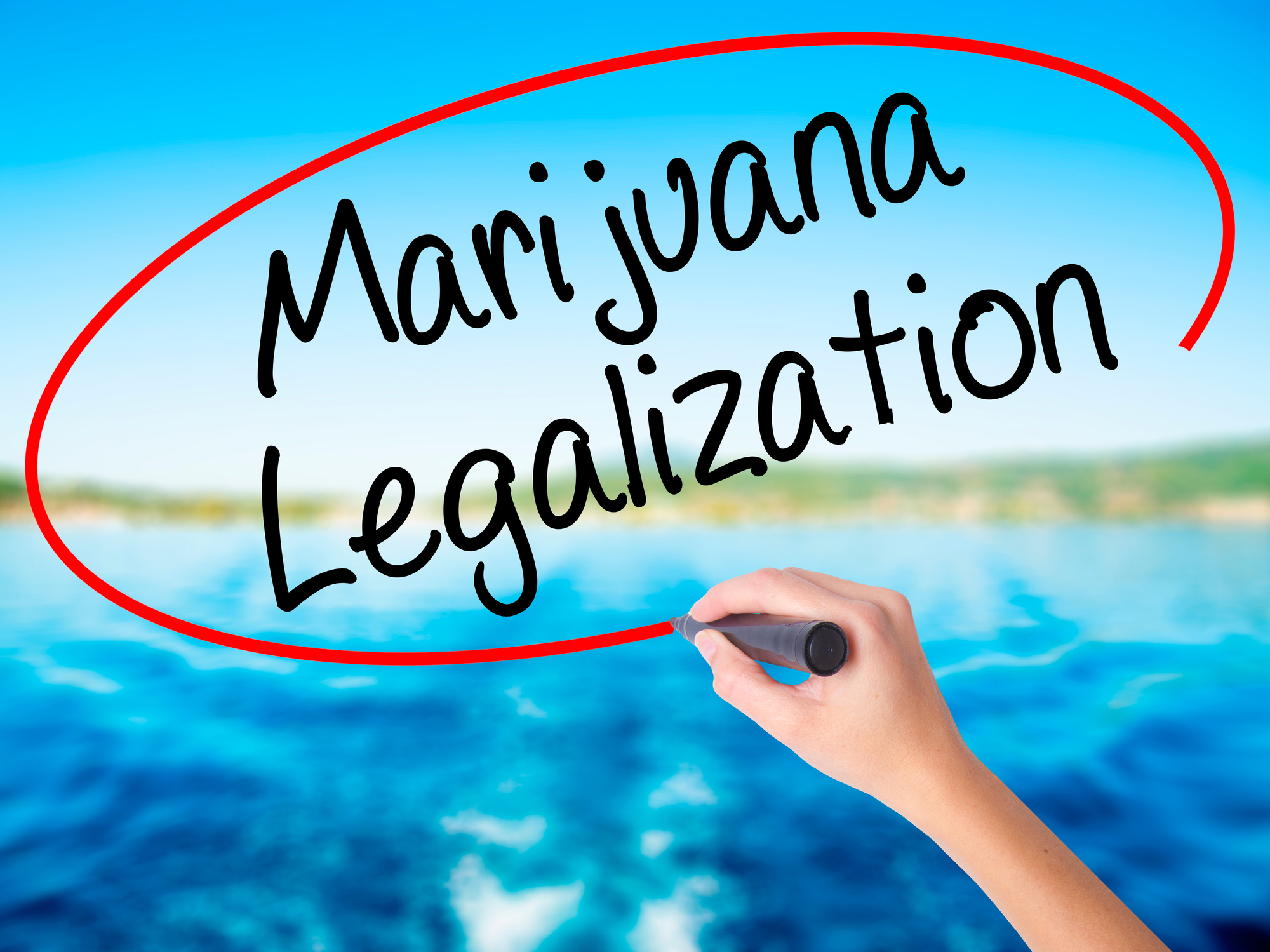 Woman Hand Writing Marijuana Legalization with a marker over tra