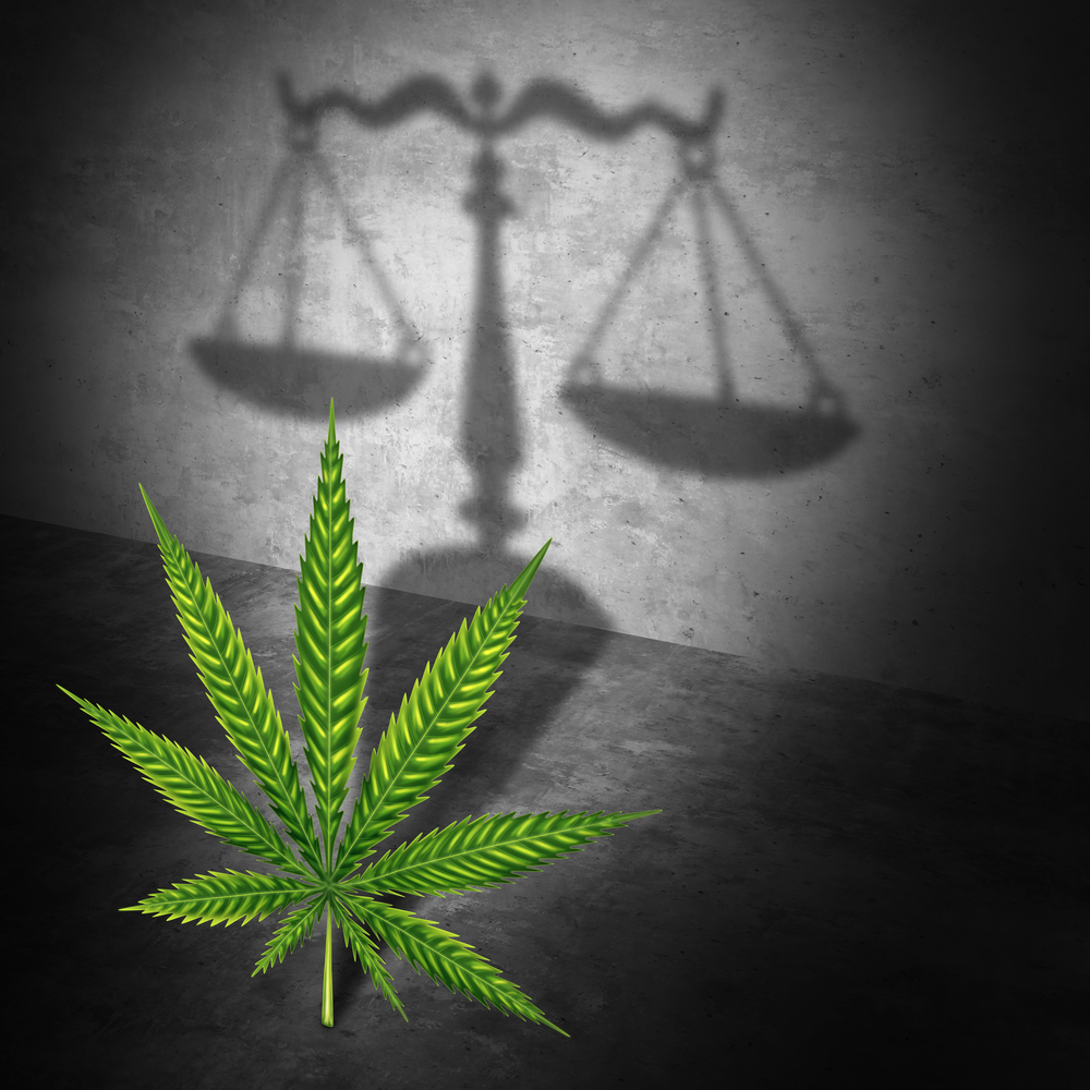 Legal Marijuana Concept