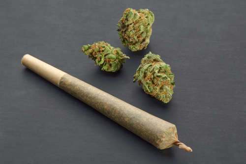 joint