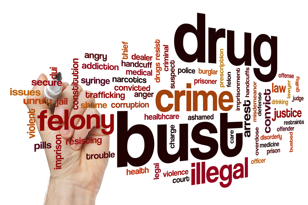 Drug bust word cloud