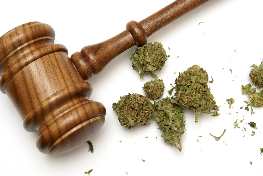 marijuana and gavel