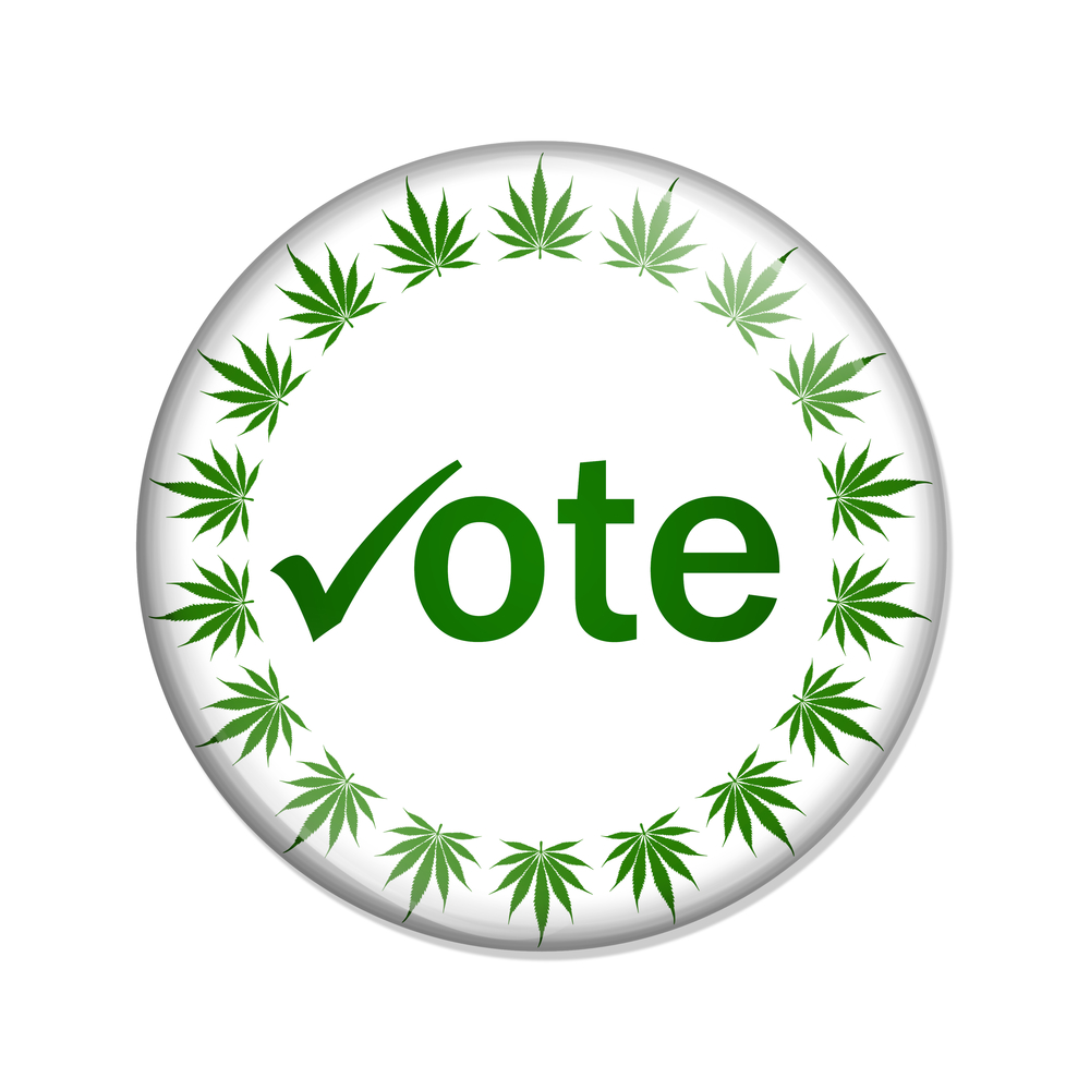 Vote to legalize marijuana button