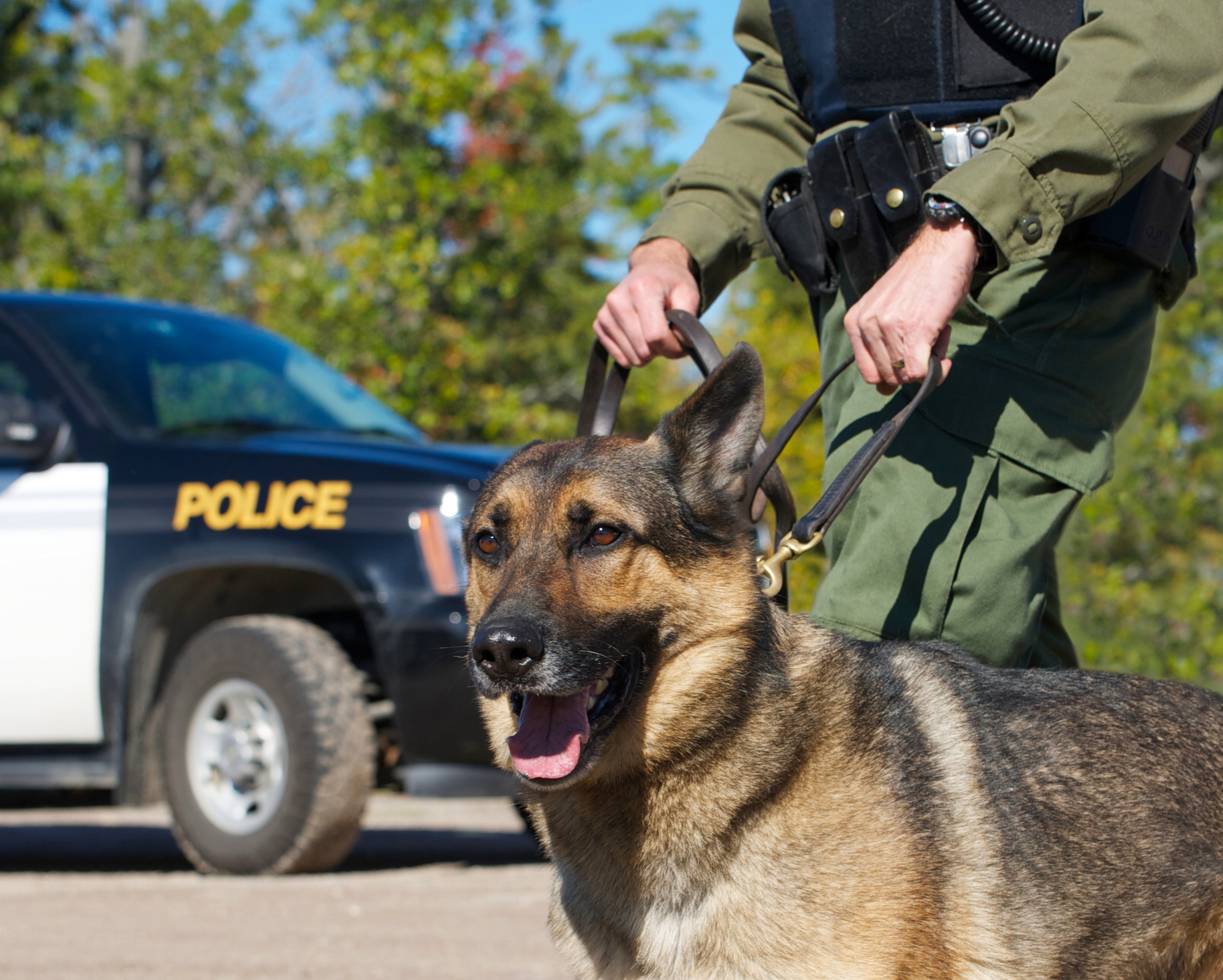 police with dog