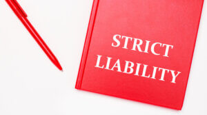 strict liability